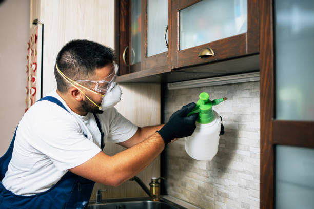 Best Affordable Pest Control Services  in Duncanville, TX