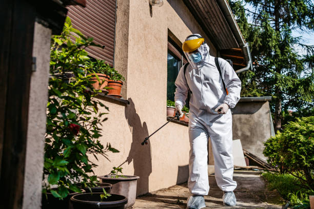 Best Wasp Removal Services  in Duncanville, TX