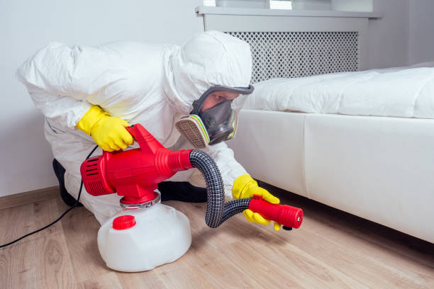 Best Flea Control Services  in Duncanville, TX